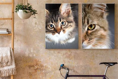 Custom Cat Canvas Art: Celebrate Your Feline Friend in Style