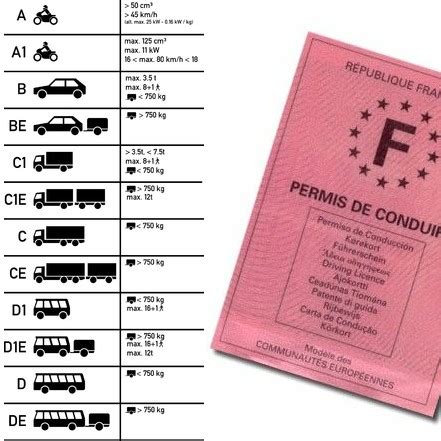 Les Neuf Cat Gories De Permis De Conduire Auto Ecole Assur