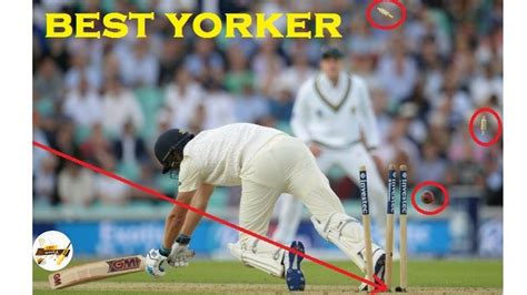 Top 10 Best Yorkers In Cricket History Ever YouTube