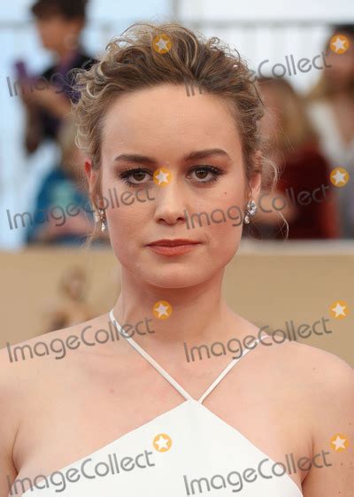 Photos And Pictures 29 January 2017 Los Angeles California Brie Larson 23rd Annual