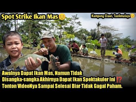 Spot Strike Ikan Mas Awalnya Dapat Ikan Mas Tapi Setelah Pindah Spot