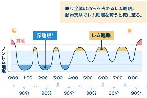 睡眠知識｜睡眠バランス研究project ウェルネス総合研究所