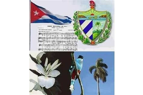 Simbolos Patrios De Cuba