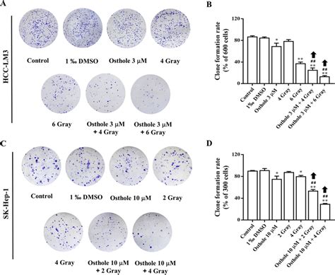 Effect Of Osthole Irradiation Or Their Combination On Clone Formation