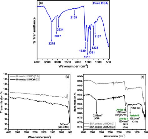 Ftir Spectra Of A Pure Bsa B Uncoated Lsmo And C Bsa Coated Lsmo Download Scientific