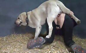 Djurporrfilmer och mänsklig sex med hund