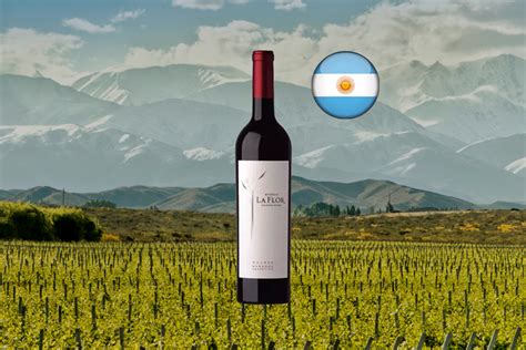 La Flor De Pulenta Malbec 2019 Vinho Tinto Argentino Center Gourmet