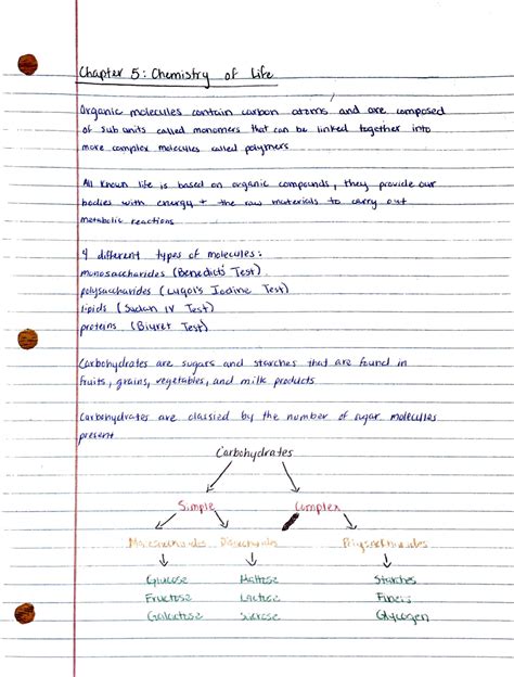 Bio Lab Chapter Chemistry Of Life Bsc L Studocu