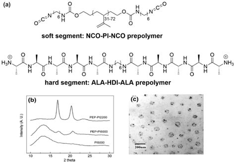 A Chemical Structure Of Polyisoprene And Oligoalanine Prepolymers