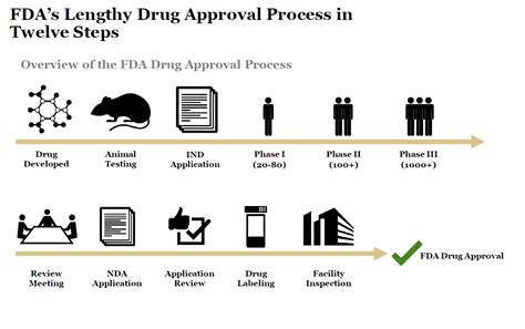 Fda’s Lengthy Drug Approval Process In Twelve Steps