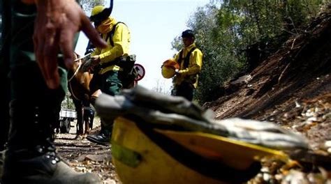 Encapuchados Atacan Y Asaltan A Trabajador De Forestal Mininco En La