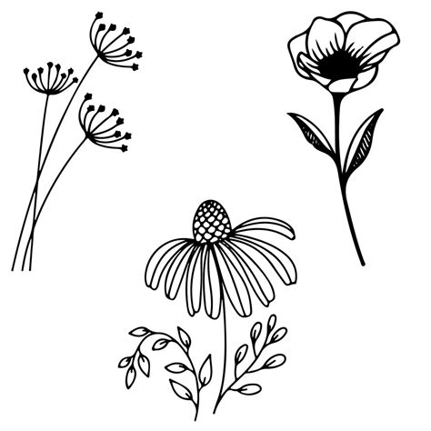 220 Wildflower Svg Dvg Png Dxf Ai Bundle Wildflower Vector Wildflower