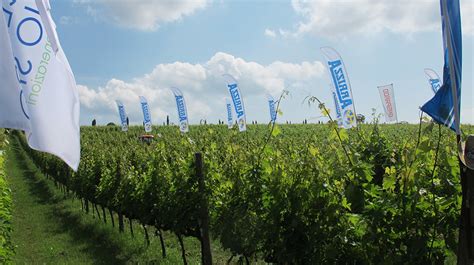 Nova Agricoltura In Vigneto Il 7 Giugno 2018 Ad Osimo Tra I Vigneti