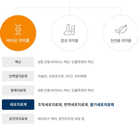 줄기세포소개 Randd 코아스템켐온주 줄기세포 비임상 Cro