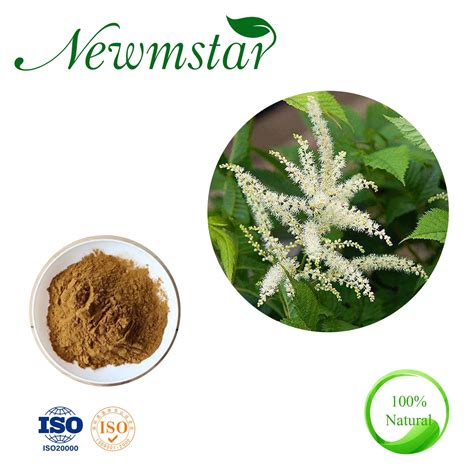 Kosher Natural Cimicifuga Racemosa Powder Black Cohosh Powder Black