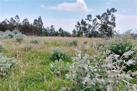 TERRENO DE VENTA EN PINTAG QUITO ECUADOR Arrienda Y Vende