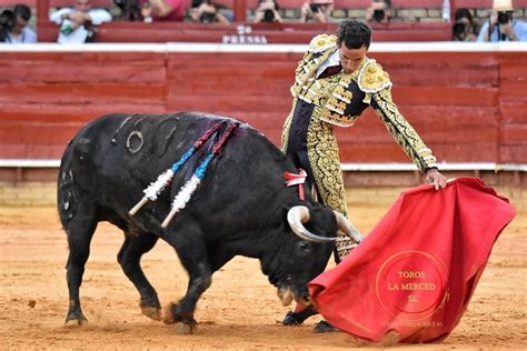 Un Contundente David De Miranda Vuelve A Abrir La Puerta Grande En