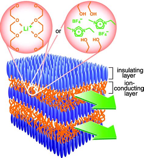 Self Assembly Of Phase Segregated Liquid Crystal Structures Science