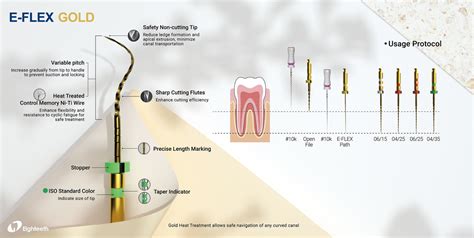 Eflex Gold Lima Rotatoria Dental Click