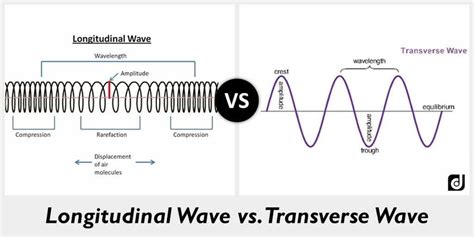 Longitudinal And Transverse Waves Venn Diagram What Is The D