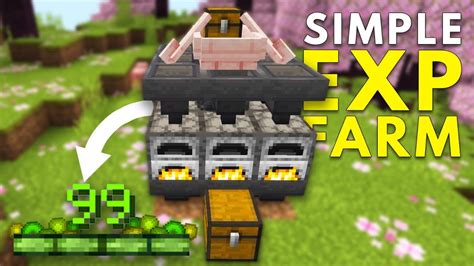 EASIEST AFK XP Farm For Minecraft Bedrock 1 20 10 YouTube