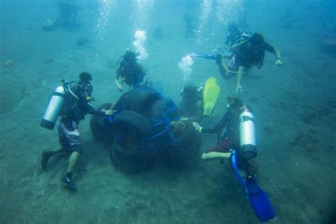 Artificial Coral Reefs Types Reasons Pros And Cons More Fun Diving