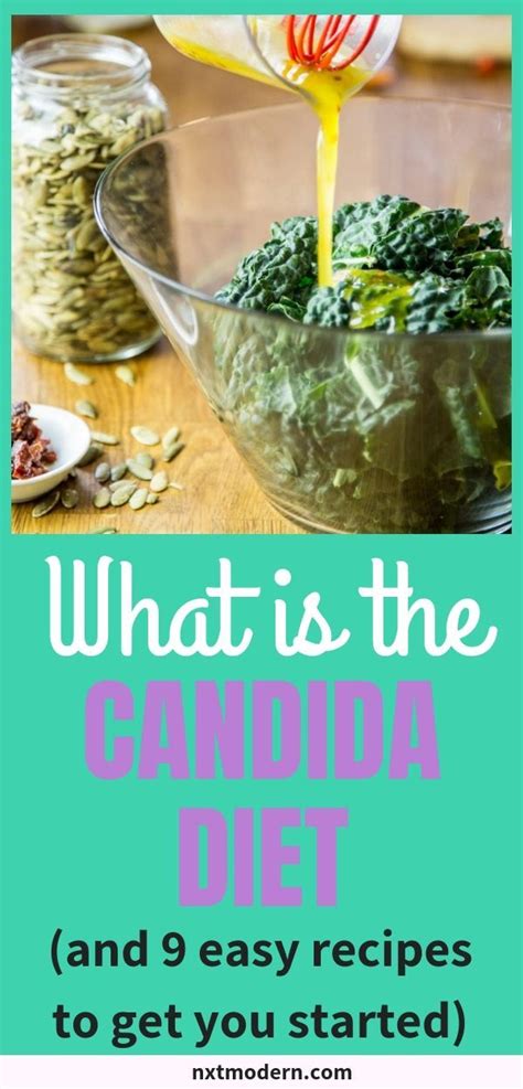 What Is The Candida Diet Plus 9 Tasty Recipes To Get You Started