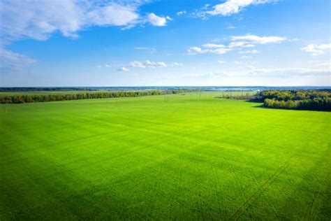 Grassy Field Aerial