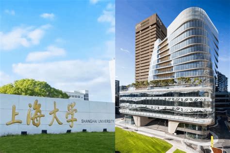 为什么选择悉尼工商学院 上海大学悉尼工商学院