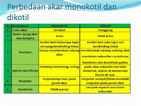 Tabel Perbedaan Jaringan Akar Monokotil Dan Dikotil