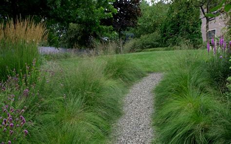 Buy Prairie Dropseed Grass Free Shipping Wilson Bros Gardens