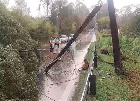 Caída de varios árboles en El Retiro colapsó el retorno por el Oriente