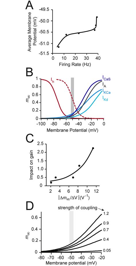 Gain Modulation And The Voltage Dependence Of Channel Activation A