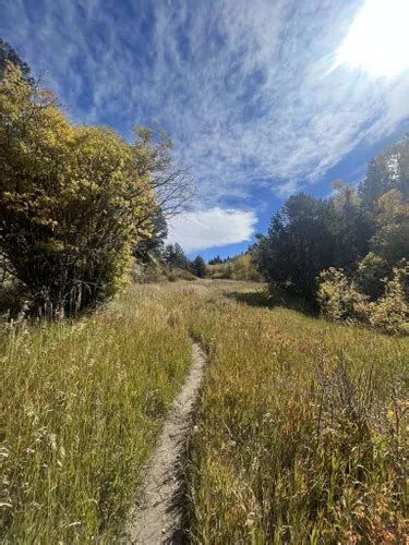 10 Best Hikes and Trails in Great Sand Dunes National Park and Preserve ...