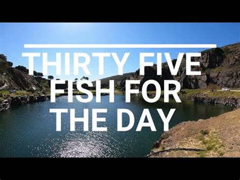 Western Cape Carp Fishing Day For The History Books YouTube