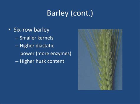 PPT - Barley and the Malting Process PowerPoint Presentation, free ...