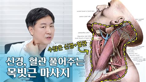 목빗근흉쇄유돌근 마사지로 머리 목어깨 긴장통증 완화자율신경 개선하기 Youtube