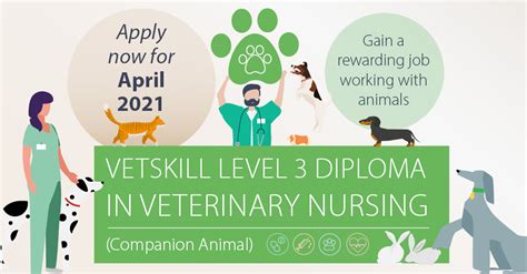 Vetskill Level Diploma In Veterinary Nursing Caw