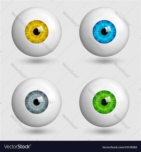 Set Realistic Eyes With Different Colors Of Vector Image