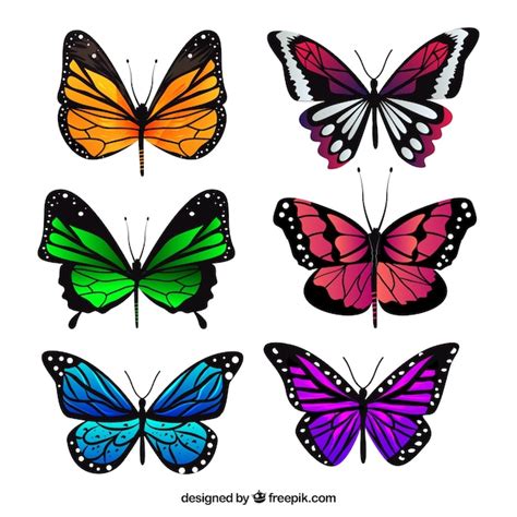 Colección de mariposas realistas Vector Gratis