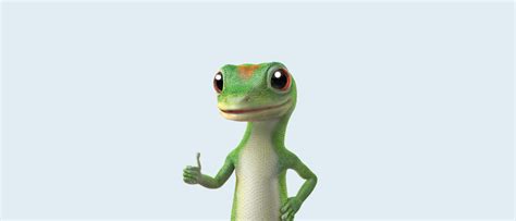 Save on your GEICO Car Insurance! - SafetyServe