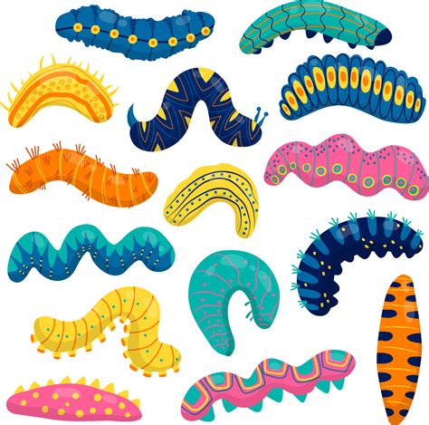 Vector set with colorful caterpillars 13703748 Vector Art at Vecteezy