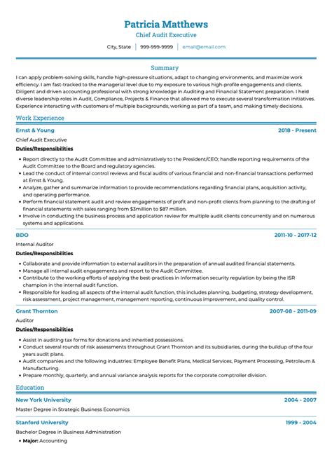 Auditor Cv Examples And Templates Visualcv