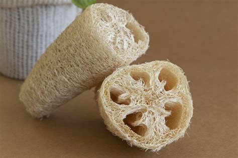 Esponja Vegetal O Luffa Da Naturaleza