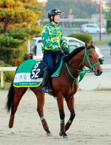 【pog】パローマ偉大な姉の背中追う競馬・レースデイリースポーツ Online