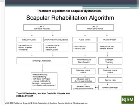 Shoulder Pain: Assessment and Treatment of Scapular Dyskinesia Lecture 1 Flashcards | Quizlet