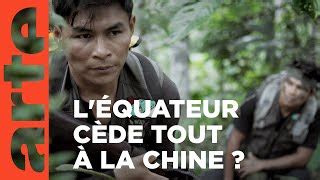 Documentaire Ils mont volé mon pays lÉquateur