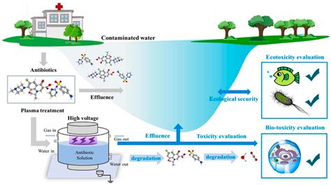 Plasma Free Full Text Recent Developments In The Use Of Plasma In