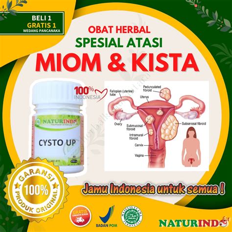 Jual Obat Miom Dan Kista Ovarium Kista Bartholin Kista Ganglion Herbal