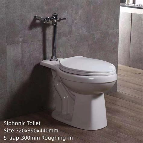 Bathroom Siphonic Flushing Ceramic Toilet Bowl Floor Mounted S Trap